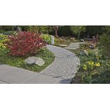 Klinker Schellevis Oud Hollandse Rijnformaat Klinkers Antraciet 15x5x7 cm Tuinvisie B.V.