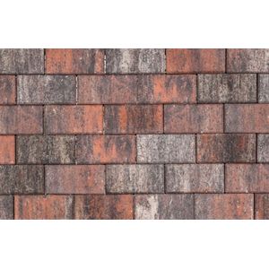 Klinker Tremico Waalformaat Twents Bont 20x5x6 cm Tuinvisie B.V.