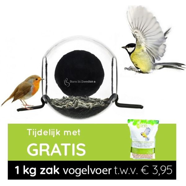 erts uitlokken stok Zuignap - Vogelhuisje kopen? | Groot assortiment | beslist.nl