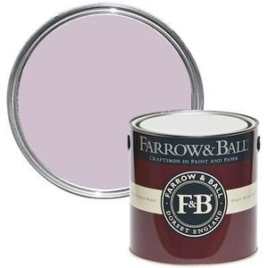 Farrow & Ball  Sugared Almond No. 9913 2.5l 6 Year Exterior Eggshell