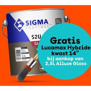 Sigma S2u Allure Gloss 2,5 Liter Op Kleur Gemengd