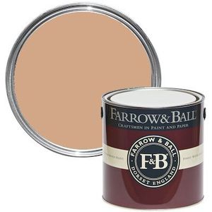 Farrow & Ball  Fake Tan No. 9912 5l 15 Year Exterior Masonry