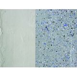 Rust-Oleum - EPOXYSHIELD - Vloercoating Set - Grijs - 2K - Slijtvast - Waterbasis