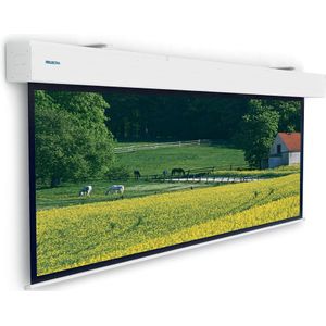 Da-Lite Elpro Large Electrol Mat Wit 4:3 zonder rand