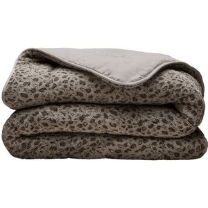 Zelesta - Teddybed - Panter - Taupe