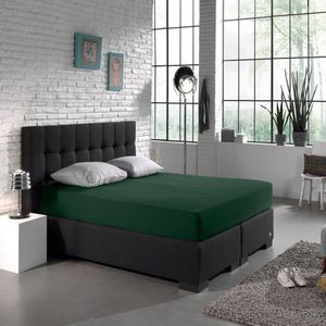 Hoeslaken Dubbel Jersey Botanical Green