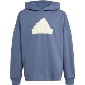 adidas Kids Future Icons Logo Hoodie Hoodie (Kinderen |blauw)