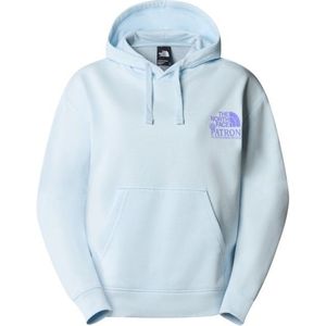 The North Face Womens Nature Hoodie Hoodie (Dames |grijs)