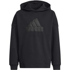 adidas Kids Future Icons Logo Hoodie Hoodie (Kinderen |zwart)