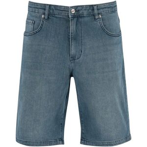 Reell Solid Short Short (Heren |grijs/blauw)