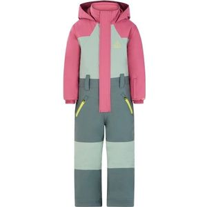 Protest Kids Prtsoul TD Snowsuit Overall (Kinderen |meerkleurig |waterdicht)
