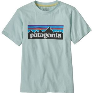 Patagonia Kids P-6 Logo T-shirt (Kinderen |grijs)