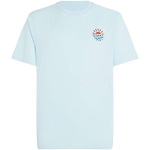 ONeill Global T-Shirt T-shirt (Heren |grijs)