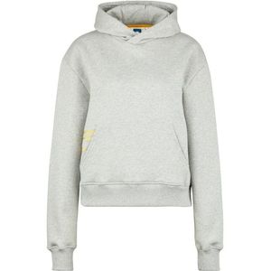 Wheeldom Womens Linksabbiegen Hoodie (Dames |grijs)