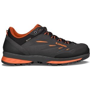 Lowa Delago GTX Lo Wandelschoenen (Heren |zwart |waterdicht)