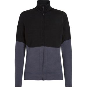 Icebreaker Merino 400 RealFleece Descender L/S Zip Merinotrui (Heren |zwart)