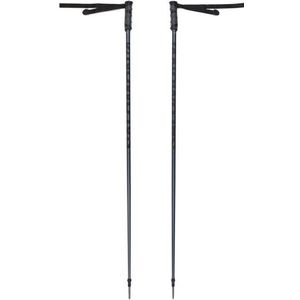 Salomon Hacker Skistokken (zwart)