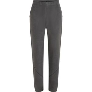 Icebreaker Womens Merino Blend 800 Real FL Cl Pile Pants Trainingsbroek (Dames |grijs)