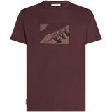 Icebreaker - Merino 150 Tech Lite S/S Tee In The Wild - Merinoshirt - Bruin