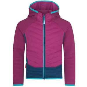 Trollkids Girls Sirdal Jacket Fleecevest (Kinderen |purper)