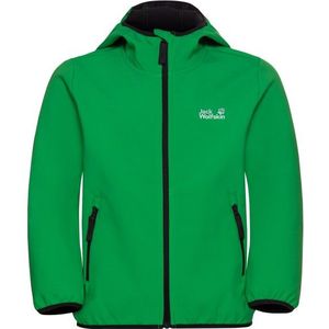 Jack Wolfskin - Hybrid 3in1 Jacket - Waterdicht - Mystic Green - Kinderen
