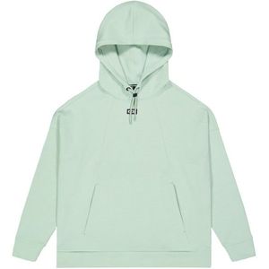 Picture Womens Pluris Tech Hoodie Hoodie (Dames |groen)