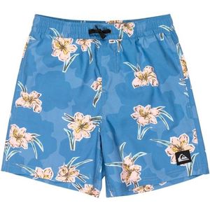 Quiksilver - Everyday Straight Volley 14 - Boardshort - Blauw