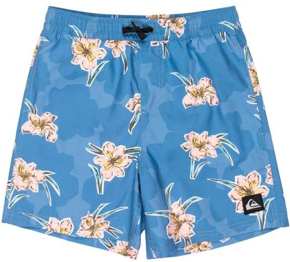 Quiksilver - Everyday Straight Volley 14 - Boardshort - Blauw