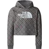 The North Face Girls Drew Pealight Hoodie Print Hoodie (Kinderen |grijs)