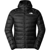 THE NORTH FACE - BETTAFORCA - Outdoorjas - Zwart - Gewatteerde Korte Jas