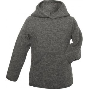 Reiff Kids Hoody (Kinderen |grijs)