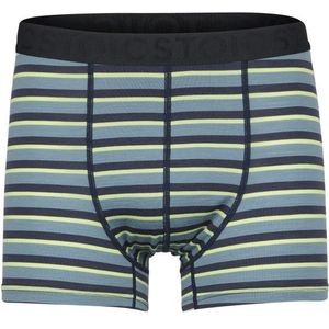 Stoic Merino150 AlsenSt Boxer Merino-ondergoed (Heren |meerkleurig)