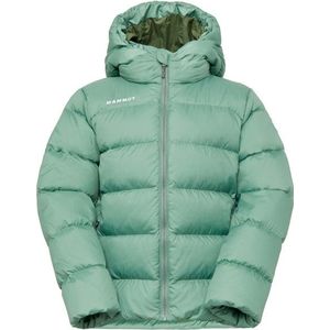 Mammut Kids Waymarker Insulation Hooded Jacket Donsjack (Kinderen |turkoois)