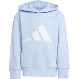 Adidas - Essentials Big Logo - Hoodie - Grijs - 55% Katoen, 36% Polyester (Gerecycled), 9% Viscose