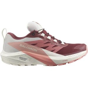 Salomon Womens Sense Ride 5 GTX Trailrunningschoenen (Dames |grijs |waterdicht)