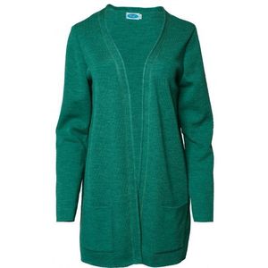 Reiff Womens Jacke Maja Merinovest (Dames |groen)