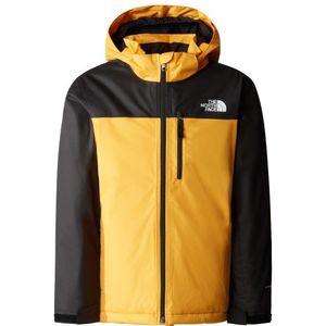 The North Face Teens Snowquest X Insulated Jacket Ski-jas (Kinderen |zwart |waterdicht)