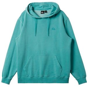 Quiksilver Salt Water Hoodie Hoodie (Heren |turkoois)