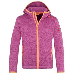 Trollkids Girls Jondalen Jacket XT Fleecevest (Kinderen |roze)