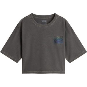 Vans Womens MTE Wildthorn Reflective Boxy Short Tee T-shirt (Dames |grijs)