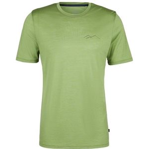 Stoic MerinoChill MMXX Göteborg Print Tee Merinoshirt (Heren |groen)