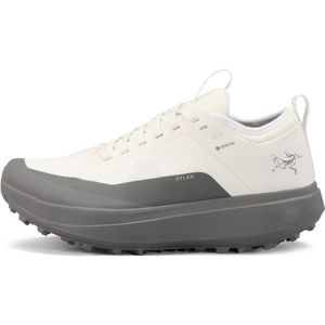 Arcteryx Womens Sylan GTX Trailrunningschoenen (Dames |grijs |waterdicht)