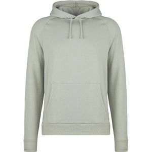 Stoic MerinoFleece270 UmeaSt Hoody Hoodie (Heren |grijs)