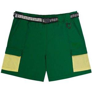 Picture Womens Camba Stretch Shorts Short (Dames |groen)