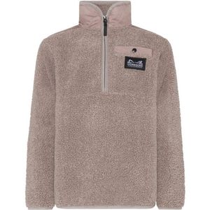 Didriksons Kids Exa Half-Zip Fleecetrui (Kinderen |bruin)