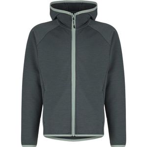 Heber Peak Kids MerinoBlend SaplingHe Hoody Trui met capuchon (Kinderen |grijs)