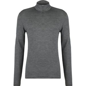 Icebreaker 260 Tech L/S Half Zip Merino-ondergoed (Heren |grijs)