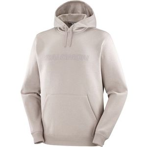 Salomon Big Logo Hoodie Hoodie (Heren |grijs)