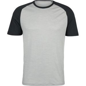 Stoic Merino155 LaholmSt Raglan Shirt Merinoshirt (Heren |grijs)