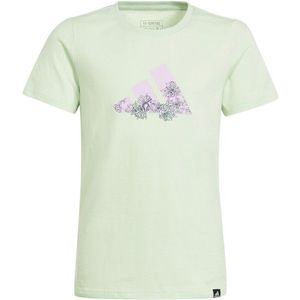 adidas Girls Training Tee T-shirt (Kinderen |wit/groen)